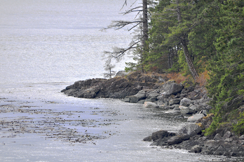 Melanie Heinrich Images - Alaska